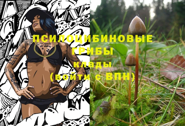 амф Армянск