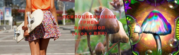 прущие крисы Весьегонск