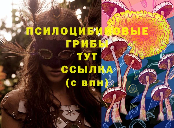 синтетический гашиш Арсеньев