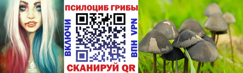 Псилоцибиновые грибы мухоморы  omg онион  Балахна  как найти закладки 